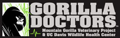 Gorilla Doctors