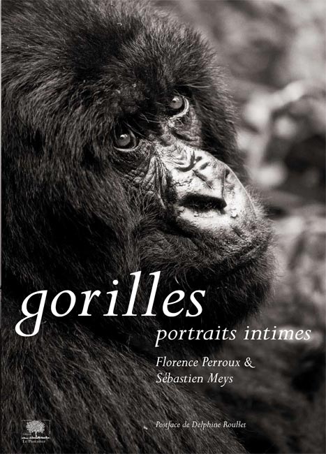Gorille, Portraits intimes
